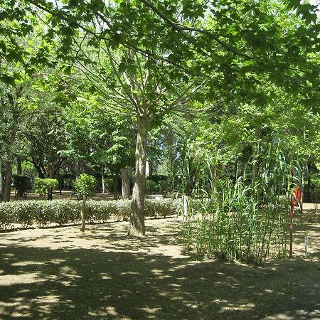 Camping Le Rebau Montblanc Esterno foto